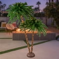 thumbnail image 2 of Northlight 6' Pre-Lit Artificial Tropical Outdoor Patio Palm Tree - Clear Lights, 2 of 6