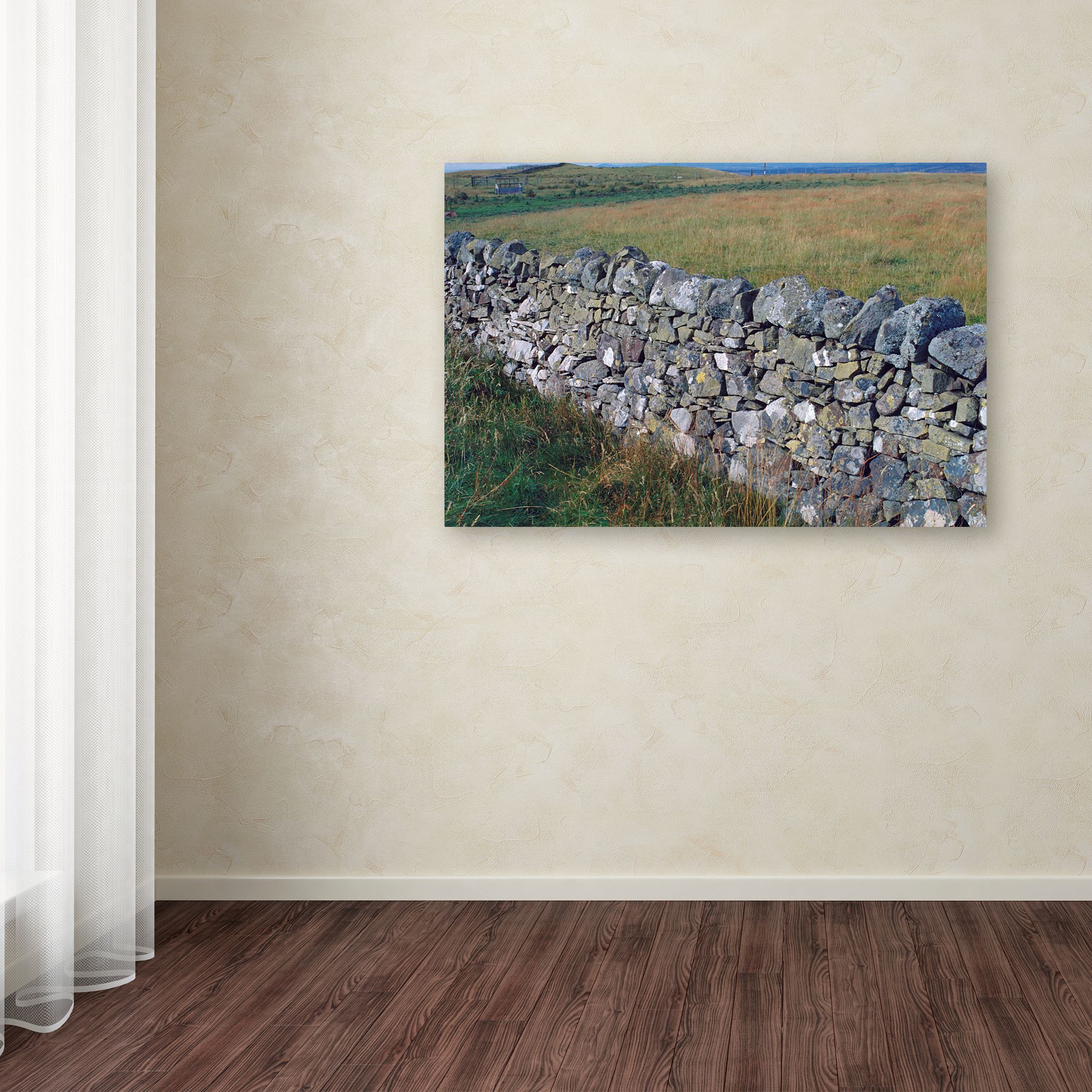 Trademark Fine Art 'Scotland 12a' Canvas Art by Robert K Jones