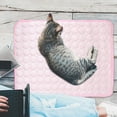 thumbnail image 5 of Summercome Cooling Mat for Pets, Ice Silk Mat Cooling Blanket Cushion for Dogs Cats, Summer Cool Down Comfortable Pet Pad, Ideal for Kennel Sofa Bed Floor Car Seats, 11.8 × 15.7inch (Pink), 5 of 9