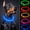 Blue, variant on Luminous LED Dog Collar for Night Safety, USB Rechargeable Fiber Optic Pet Necklace for Dogs, Visible Flashing Light Up Collar for Outdoor Activities