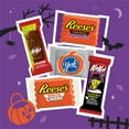 thumbnail image 5 of HERSHEY'S Halloween Assorted Flavored Snack Size Candy, 80 pcs., 5 of 6
