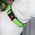 thumbnail image 3 of CSChome Pet Collar Pet Collar Adjustable Reflective Strap Buckle Closure Padded Nylon Dog Collar, 3 of 7