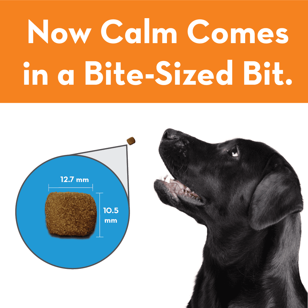 thunder calming treats