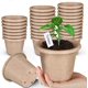 thumbnail image 1 of Zhuge 30 macetas de turba para plántulas, macetas biodegradables de 3,95 pulgadas para vivero de semillas con orificios de drenaje, 1 of 5