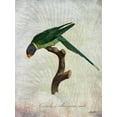 thumbnail image 2 of Butler, John 25x32 Black Ornate Wood Framed with Double Matting Museum Art Print Titled - Parrot Jungle IV, 2 of 4