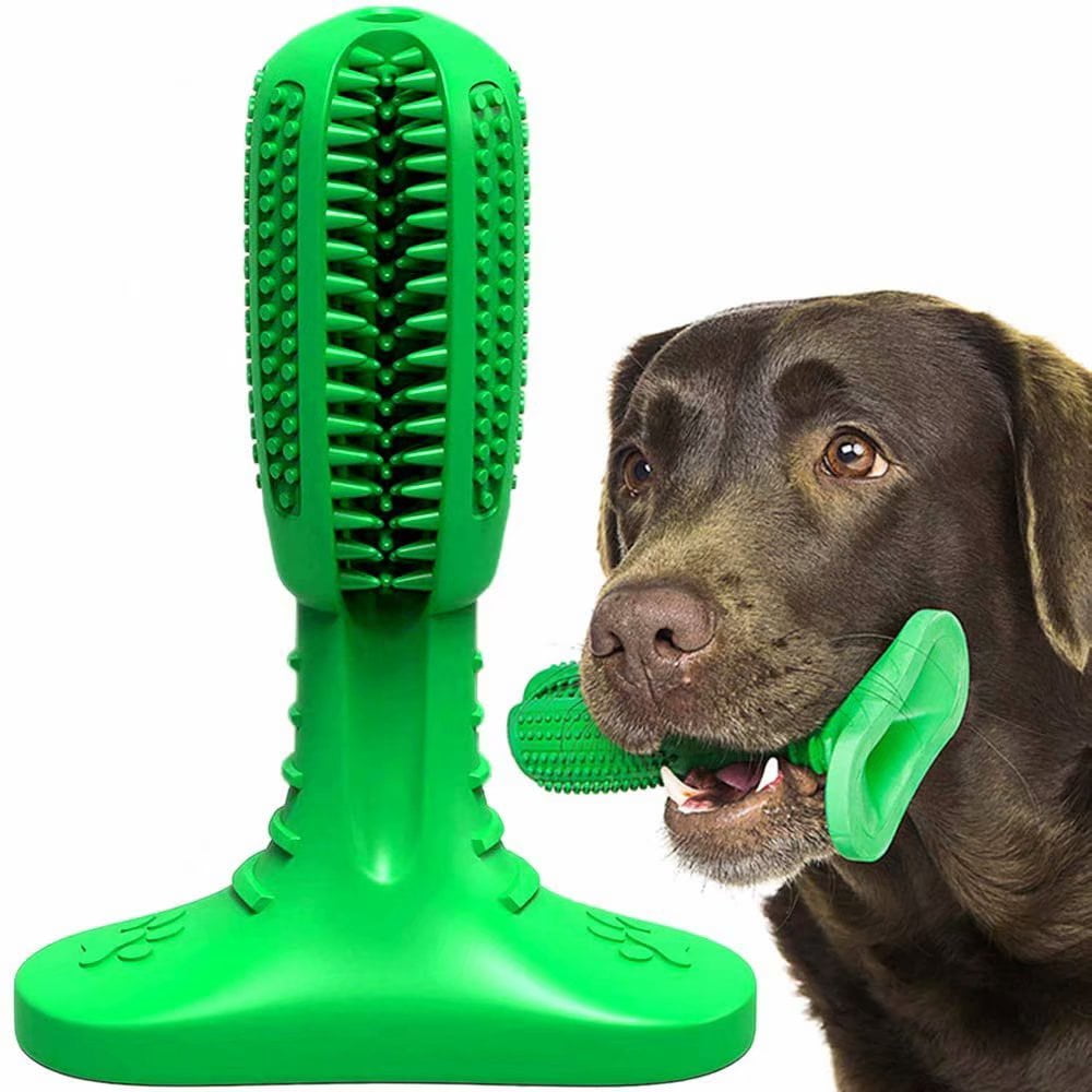 dog toy brush