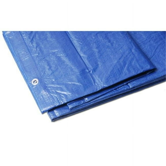 20 in. W x 20 in. L Polyethylene Tarp Blue