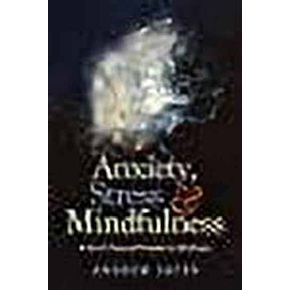 Anxiety, Stress & Mindfulness: A Do-It-Yourself Guide to Wellness (Paperback)