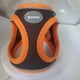 thumbnail image 2 of Clearance Pet Chest, Back, Chest, And Back Straps, Pet Supplies, Impact Dog Leash, 2 of 3