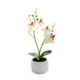 thumbnail image 1 of Tela de cerámica Planta artificial Bewildely Reemplazo vivo Decoración Blanco, 1 of 6