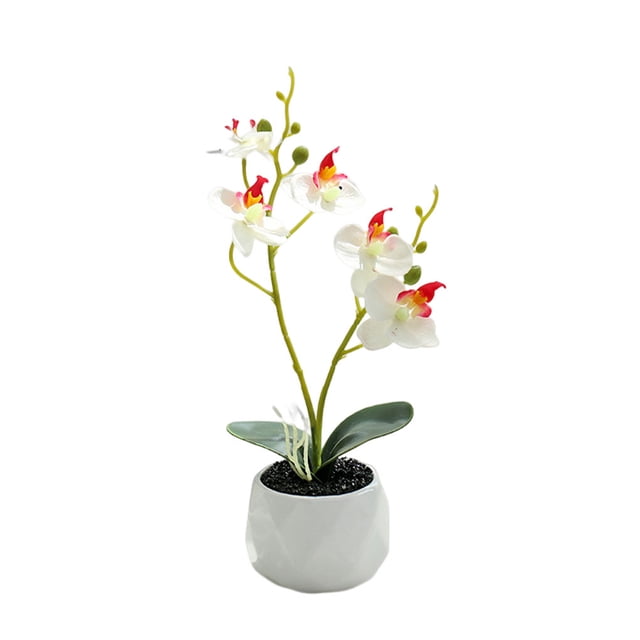 Tela de cerámica Planta artificial Bewildely Reemplazo vivo Decoración Blanco