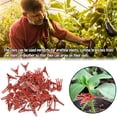 thumbnail image 3 of BEMS-50 Uds Clip de injerto Universal para vegetales vegetales de invernadero, 3 of 5
