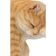 thumbnail image 3 of Hi Line 10.25” American Shorthair Washing Orange Tabby Cat Garden Statue, Realistic, 3 of 4