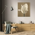 thumbnail image 3 of Amy Melious 36x44 Gallery Wrapped Canvas Wall Art Titled - Lumiere Tulip II, 3 of 4