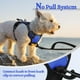 thumbnail image 5 of Arnés para perros Rabbitgoo, ajustable, sin tirones, azul deslumbrante, XS, 5 of 8