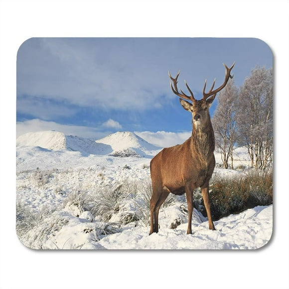 POGLIP Scottish Red Deer Stag Standing Proudly on Snow Covered Mousepad Mouse Pad Mouse Mat 9x10 inch