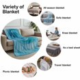 thumbnail image 5 of Flannel Fleece Throw Blanket Modern Blue Ombre Rose Texture Lightweight Soft Plush Blankets,Silver Lines Seamless Cozy Warm Throw Blanket for Couch Sofa Bed Car Office 40x50in, 5 of 9