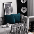 thumbnail image 2 of Rush Throw Pillow Covers 2 Pack 18x18 Inch/45x45CM Striped Velvet Square Throw Pillow Cases for Farmhouse Sofa Home Living Room Decor（No Pillow Insert，Blue-green ） S1667, 2 of 5