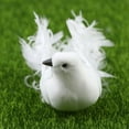 thumbnail image 6 of Fuwaxung White Feather Curly Bird White Bird Faux Foam Feather Dove Craft Bird DIY Ornament Mini Ornament Ornament Mini Decorative Birds, 6 of 7
