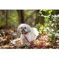 thumbnail image 4 of shiyou-Collegiate University of Arizona Wildcats Pet Leash, Large, 4 of 4