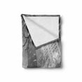 thumbnail image 2 of Black and White Soft Flannel Fleece Throw Blanket, Chicago City Downtown Nighttime Highrise Buildings Tree Branches, Cozy Plush for Indoor and Outdoor Use, 50" x 70", Grey Black White, by Ambesonne, 2 of 6