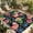 DeepPink Green Black, variant on Tropical Plants Outdoor Rug for Patio/Deck/Porch, Non-Slip Large Area Rug 5 x 7 Ft, Green Leaf Coastal Blue Starfish Shells Indoor Outdoor Rugs Washable Area Rugs, Camping Rug Carpet Runner