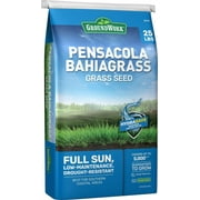 GroundWork 25 lb. Pensacola Bahiagrass Grass Seed Mixture