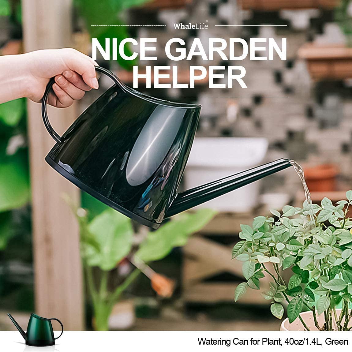 Small Indoor Watering Can for House Plants - Stylish Green Plastic Watering Pitcher with Long Spout for Potted Plants, Succulents, and Desk Gardens 1.4L