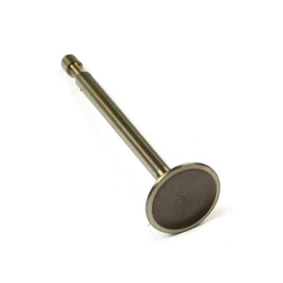 Briggs & Stratton OEM 590393 Valve-Intake