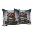 thumbnail image 3 of Ambesonne Cat Throw Pillow Cover Pack of 2, Whimsical Bad Kitty Mug Shot, 2 Pcs-26"x26", Umber and Pale Blue Grey, 3 of 5