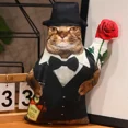 thumbnail image 1 of 3D Cat Plush Toy Stuffed Animal Transformable Doctor Gentleman Cowboy Multiple Styles, 1 of 7