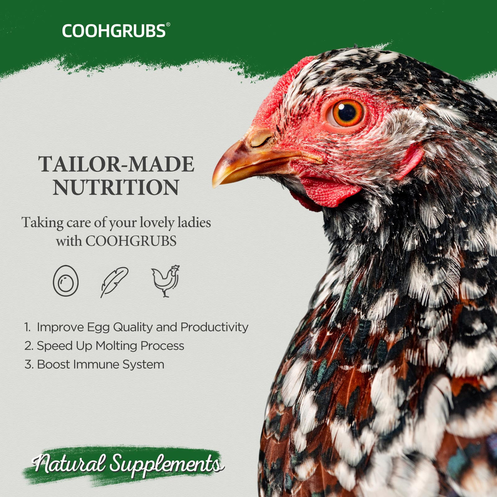 COOHGRUBS 100% Natural Dried Mealworms, Non-GMO Meal Worms for Chickens, Ducks & Wild Birds, High Protein Chicken Treats & Bird Food, 10-lb Box