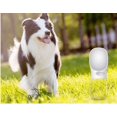 thumbnail image 2 of Botella de agua portátil para perros, 550 ml, botella de agua portátil para perros, sin BPA, a prueba de fugas, para beber al aire libre, viajes y senderismo (550 ml, blanco) oso de fresa Electrónica, 2 of 5