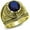 Gold Plated NO Engraving, variant on Untamed Pack Navy Ring - Polished Stainless Steel, Gold Plating, Black
