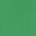 thumbnail image 4 of Playera Blusa De KIWI – Estilo Tropical que Te Llena de Vida Ropa Para Mujer Color Verde Talla Mediana Marca Emil SaEs, 4 of 4