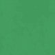 thumbnail image 4 of Playera Blusa De KIWI – Estilo Tropical que Te Llena de Vida Ropa Para Mujer Color Verde Talla Mediana Marca Emil SaEs, 4 of 4