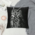 thumbnail image 2 of Orinice Owl Graphic Decorative Cushion Throw Pillow Cover for Home Couch Living Room Bed Sofa Car Bedroom Zipper Closure 1PC 12x12in, 2 of 5