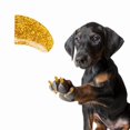 thumbnail image 1 of Protectores de uñas para perro Pretty Claws, 60 piezas, adhesivos, dorado 24 quilates, talla grande, 1 of 4