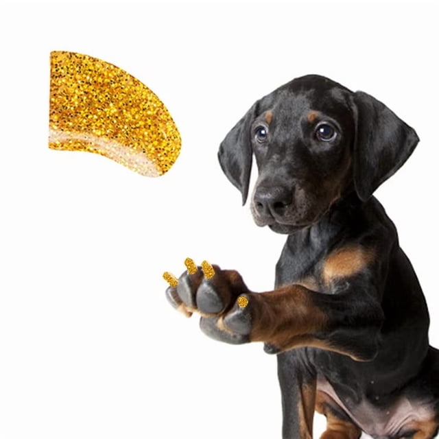 Protectores de uñas para perro Pretty Claws, 60 piezas, adhesivos, dorado 24 quilates, talla grande