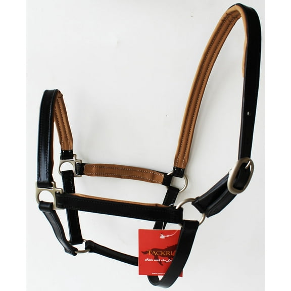 Horse English Padded Leather Western  Show Halter Tan Full 803209TNF