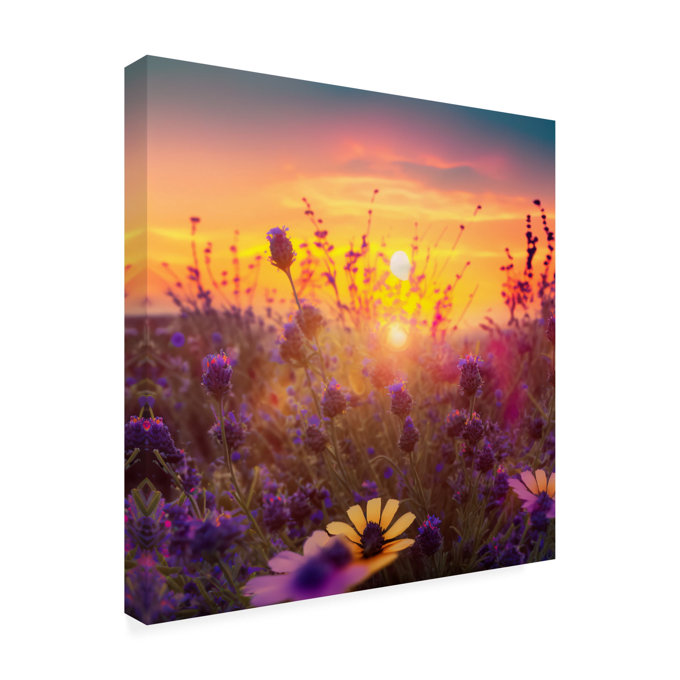 Canvas Wall Art - Ray Heere 'Flowering Fields 5' Wall Art for Living Room, Bedroom, or Office Décor by Trademark Fine Art - 14 x 14 Inches