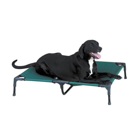 Raised Elevated Dog Bed Dark Green Tough Canvas Comfortable Pet