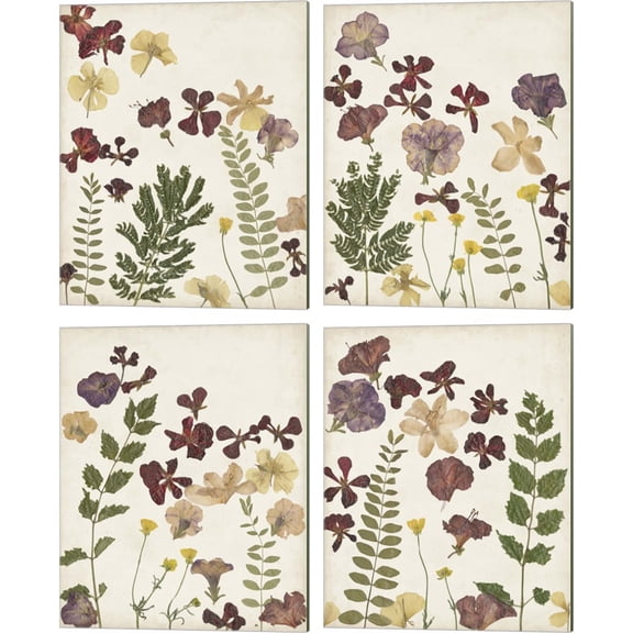 Great Art Now Pressed Flower Arrangement by Regina Moore 4 Piece Canvas Art Set Each 12"W x 15"H
