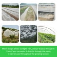 thumbnail image 4 of POINTERTECK Garden Vegetable Insect-proof Net  Bird-proof Net  Garden Mesh Net  Plant Fruit and Vegetable Protector  Mosquito-proof Cover  Garden Plant  Vegetable  Crop  Fruit Net, 4 of 6