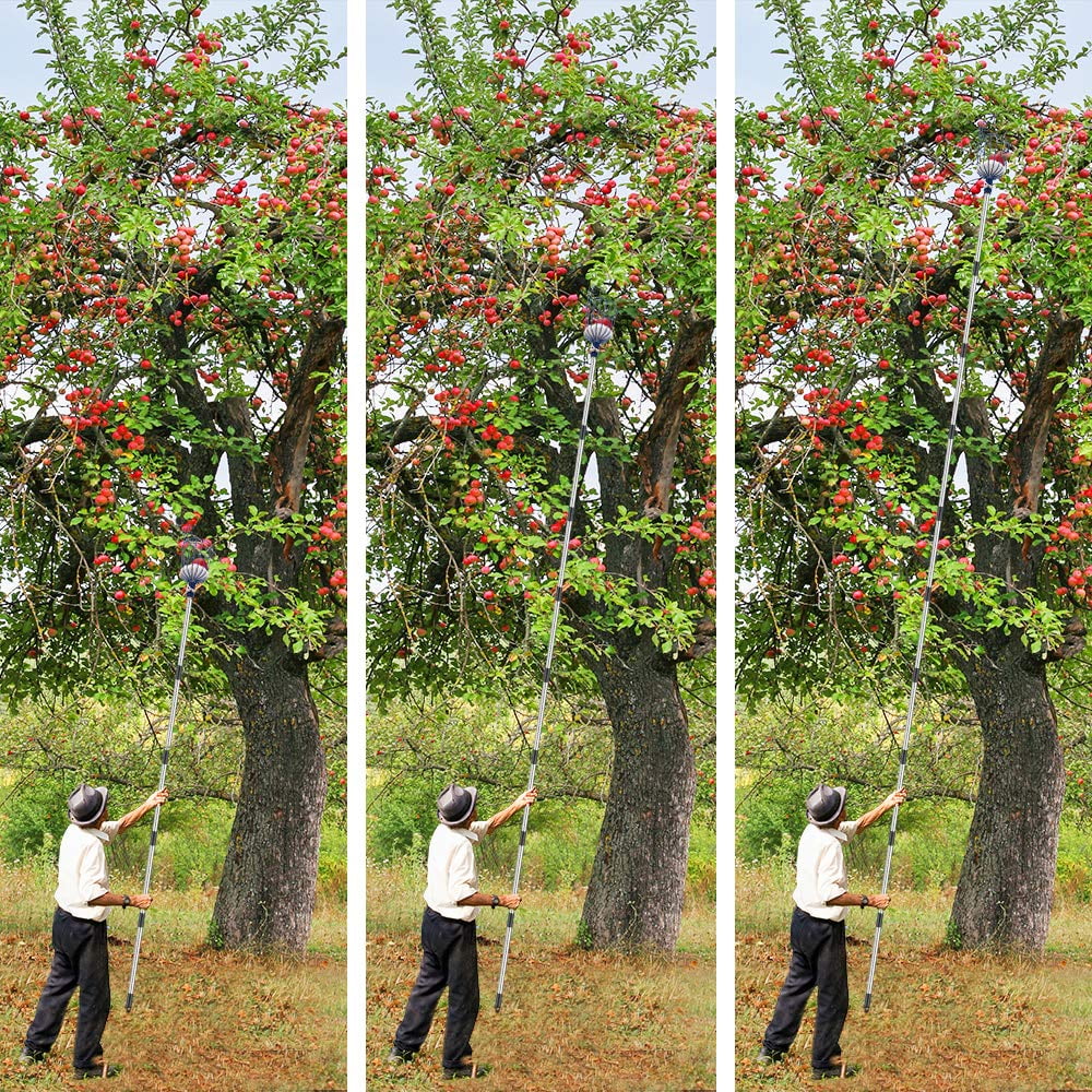Cooltop Fruit Picker, 13 FT Picker Pole with Basket, Adjustable Fruit  Picker Tool with Stainless Steel Connecting Pole with Foam Pad, Metal Clamp