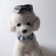 thumbnail image 2 of Zhuge Collar para gatos con hebilla ajustable, de seguridad, suave, para perros pequeños o gatos, tartán A03, 2 of 4