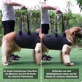 thumbnail image 3 of Arnés De Elevación Vevor Para Perros Soporte Y Rehabilitación Ajustable Transpirable, 3 of 5