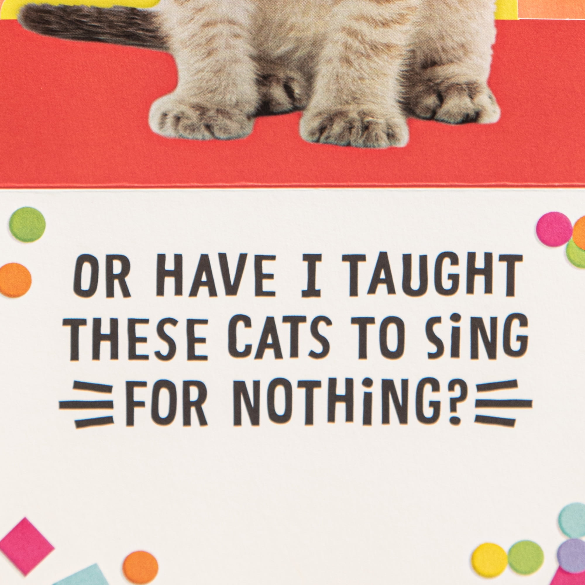 Hallmark Funny Musical Pop-Up Birthday Card (Singing Cats)