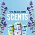 thumbnail image 7 of Febreze Plugs Air Freshener Refills 5 Pack Gain Scent, 7 of 7