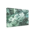 thumbnail image 2 of Trademark Fine Art Floral Canvas Art ' Breathless Nature 01 ' by Eva Bane, 2 of 3